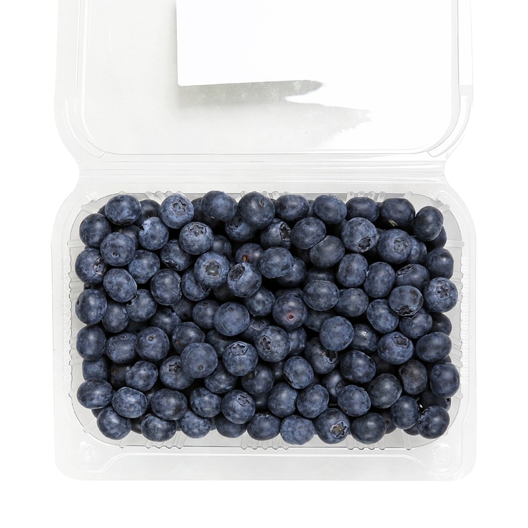 블루베리 500g 블루베리 500g