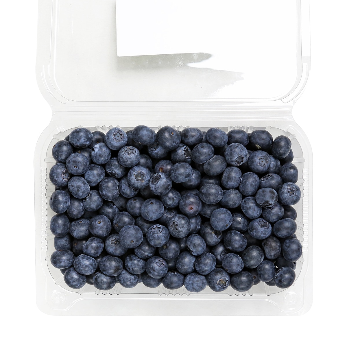 블루베리 500g 블루베리 500g