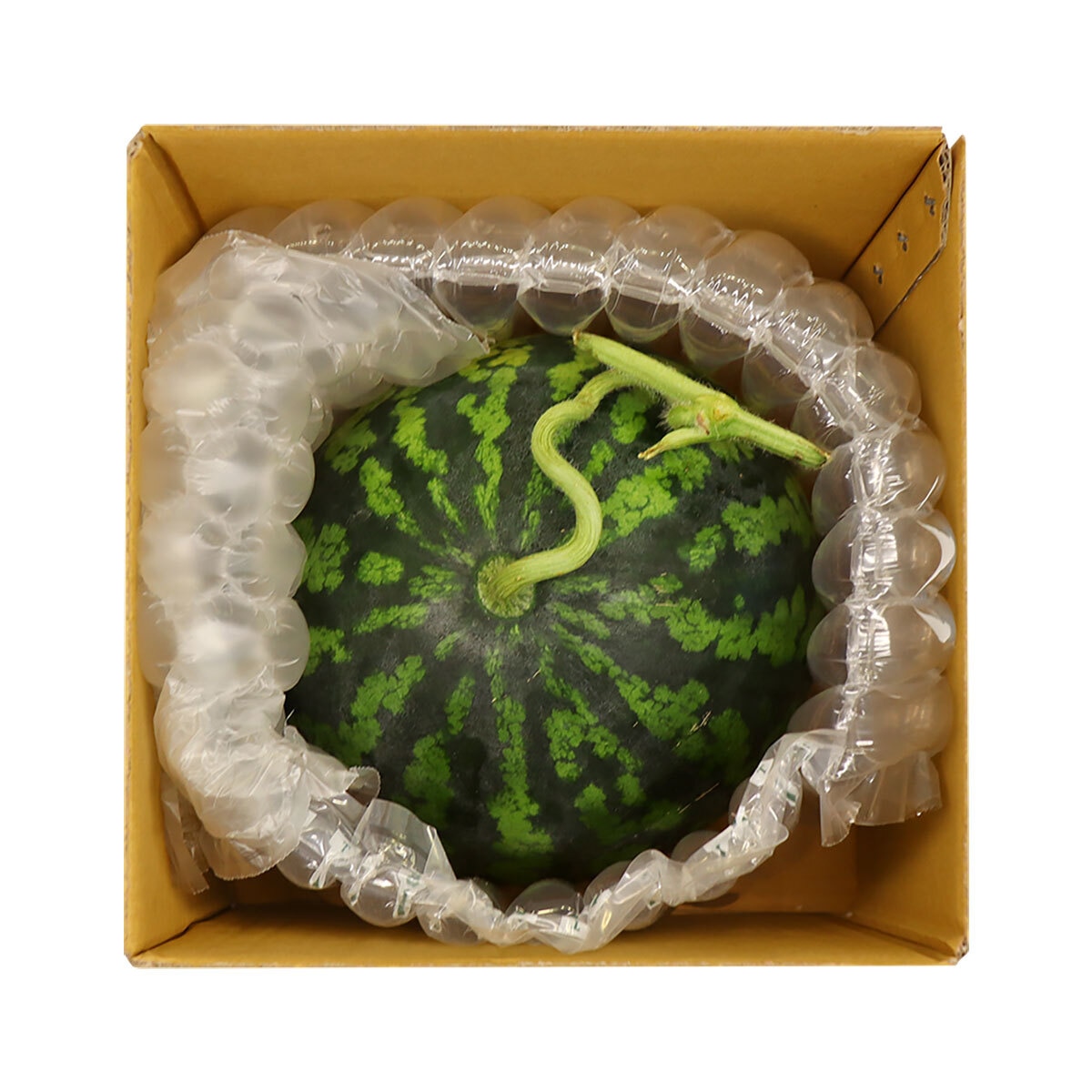 수박 7kg 미만 수박 7kg 미만