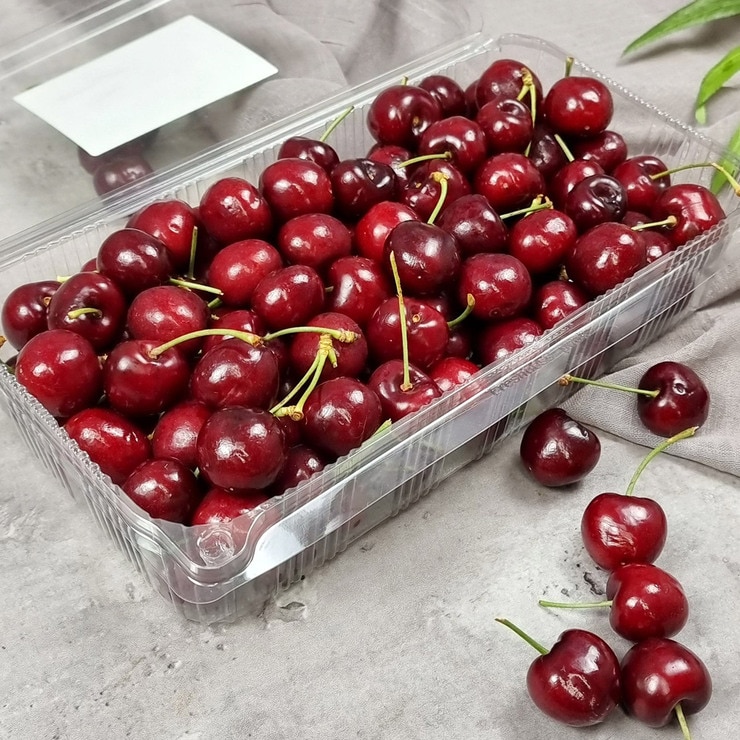 미국 레드체리 1.5kg 미국 레드체리 1.5kg