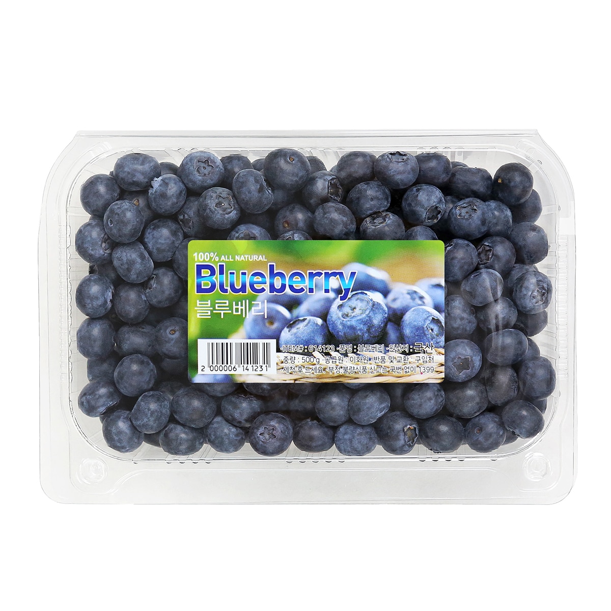 블루베리 500g 블루베리 500g