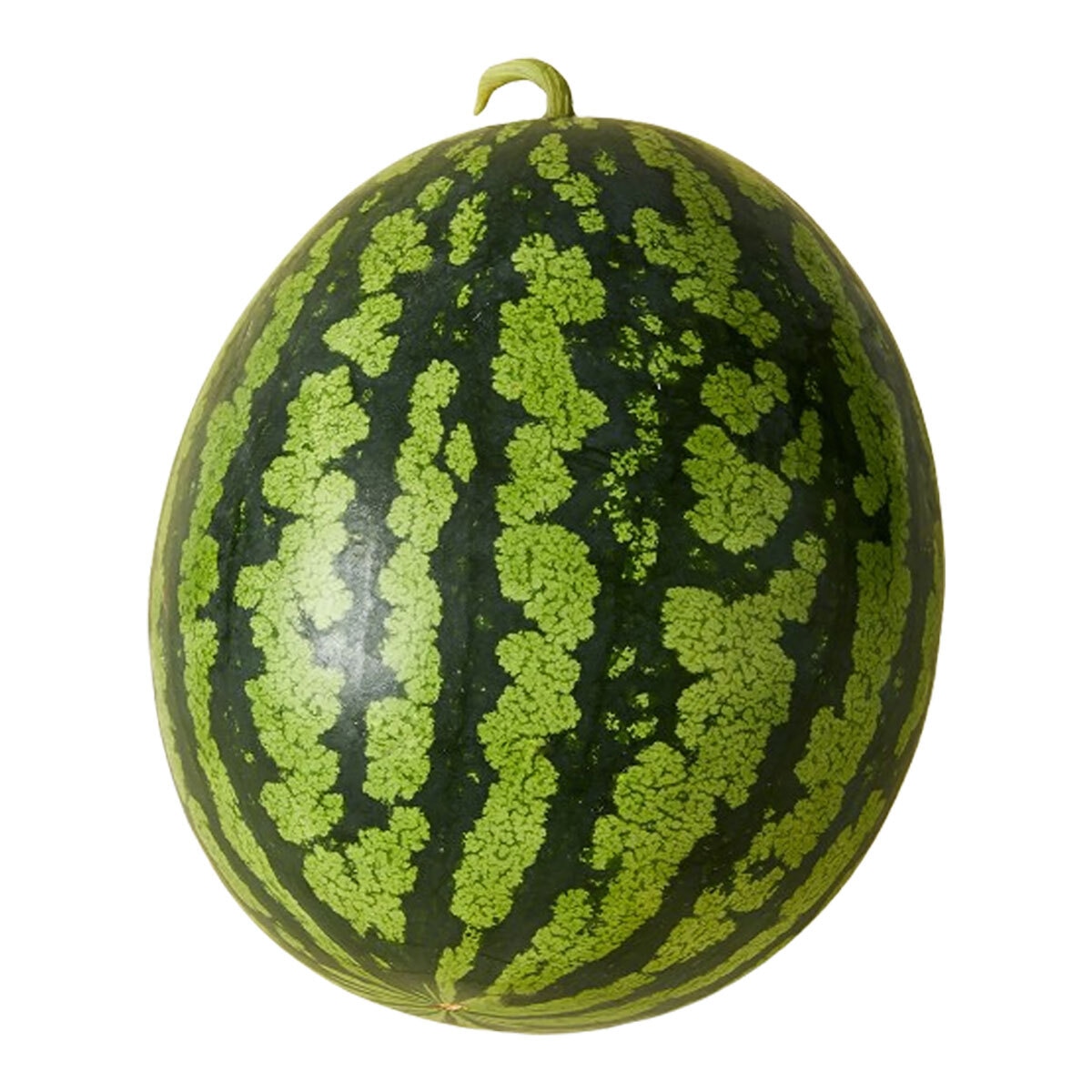 수박 7kg 미만 수박 7kg 미만