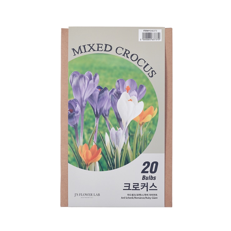 Crocus Mixed Bulbs / Min Order Qty 2 646373