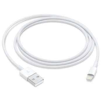 Apple 라이트닝- USB 케이블(1m)