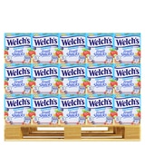 Welch's 후르트스낵2.5kg x 108