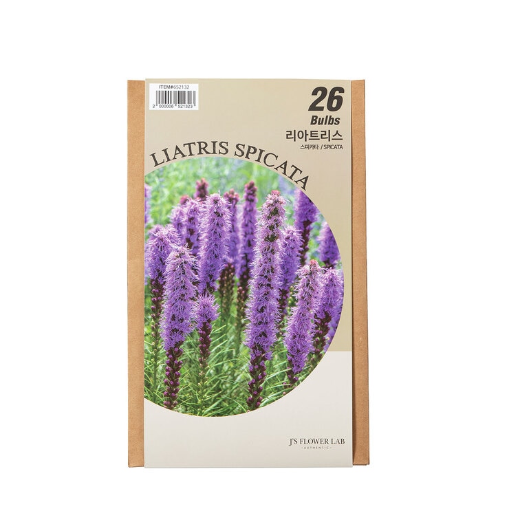 Liatris Bulbs / Min Qty 2 652132