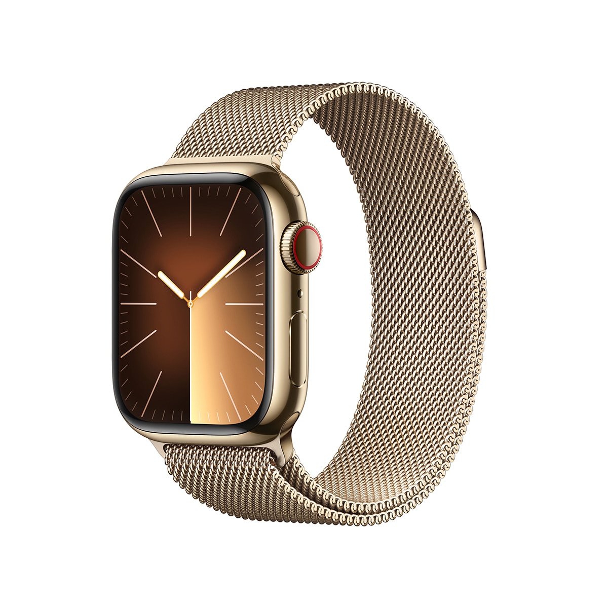 Apple Watch Series 9 41mm 스테인리스 케이스