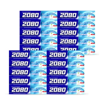 2080 올인원 케어 치약 200g x 20개