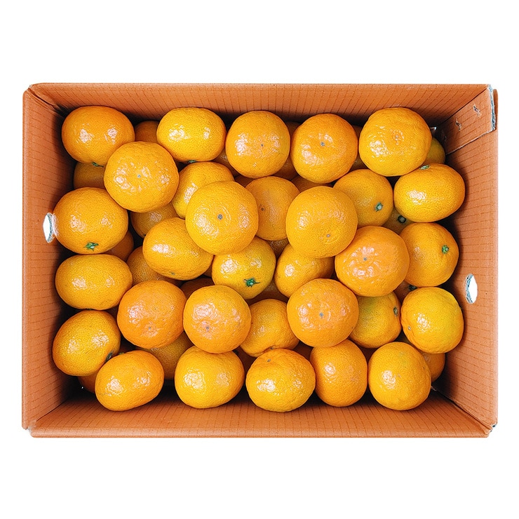 Tyvek Mandarins 5kg 638386