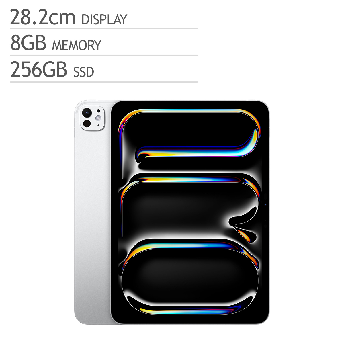 Apple 아이패드 프로 11 256GB