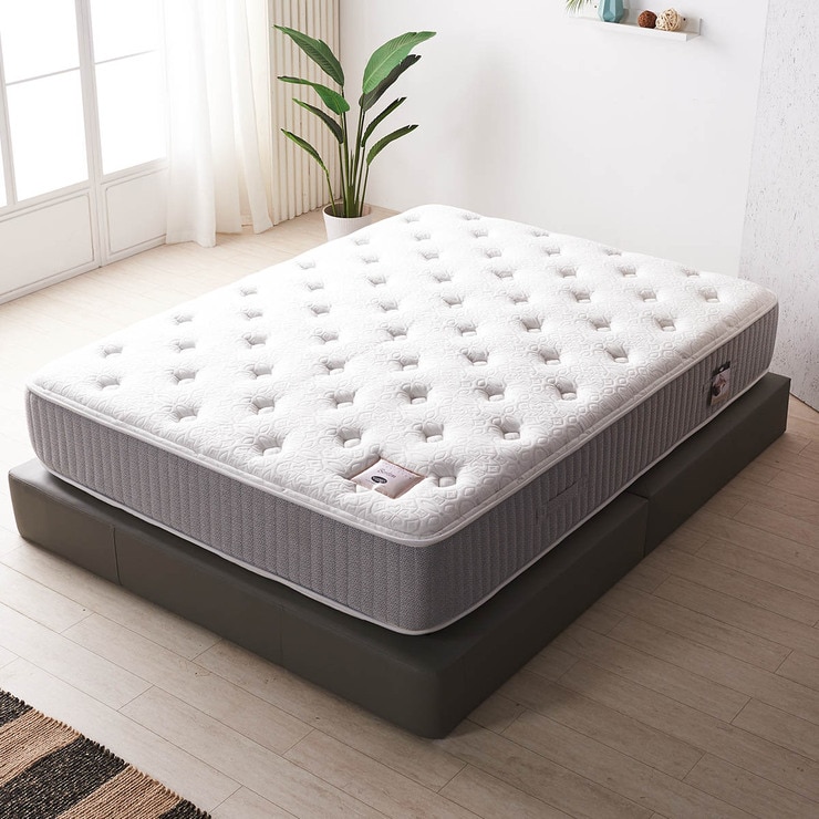 Shifman Tight Top Mattress Queen 645089