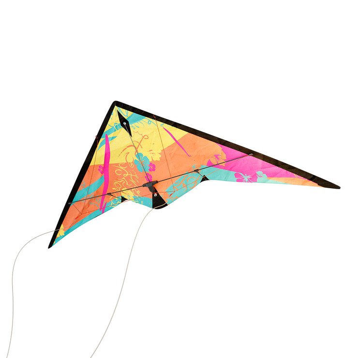 Kites Ready 2 Fly 팝업 입체 연