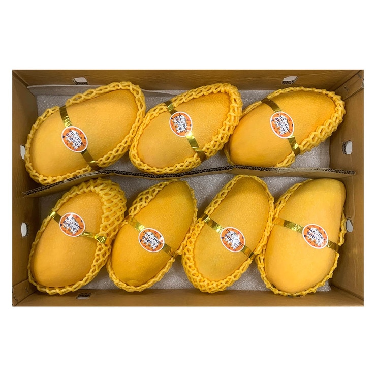 Elephant Mango 5kg (6~7ct) 645023