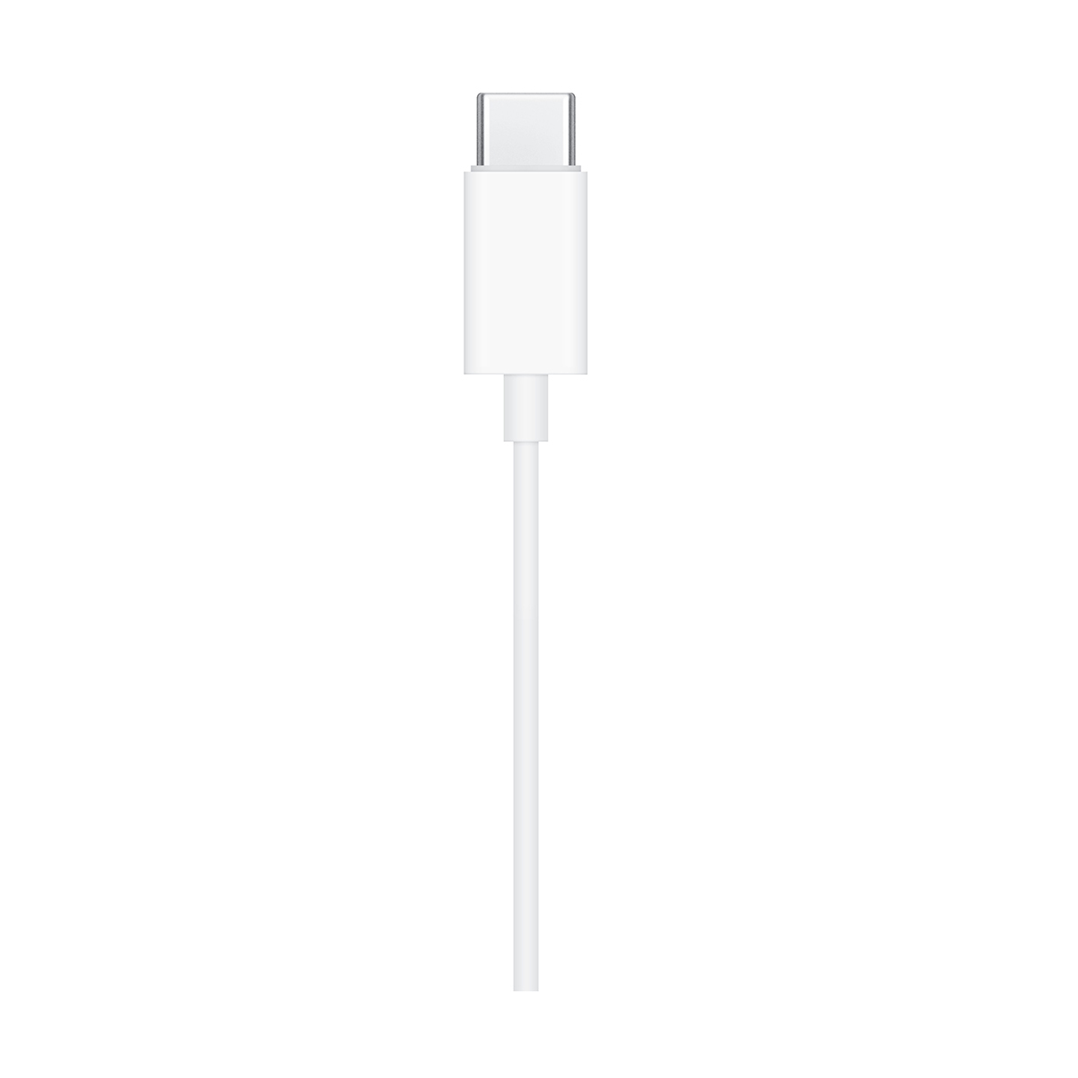 Apple 이어팟 (USB-C)