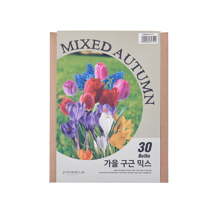 Mixed Autumn Bulbs / Min Qty 2 665751