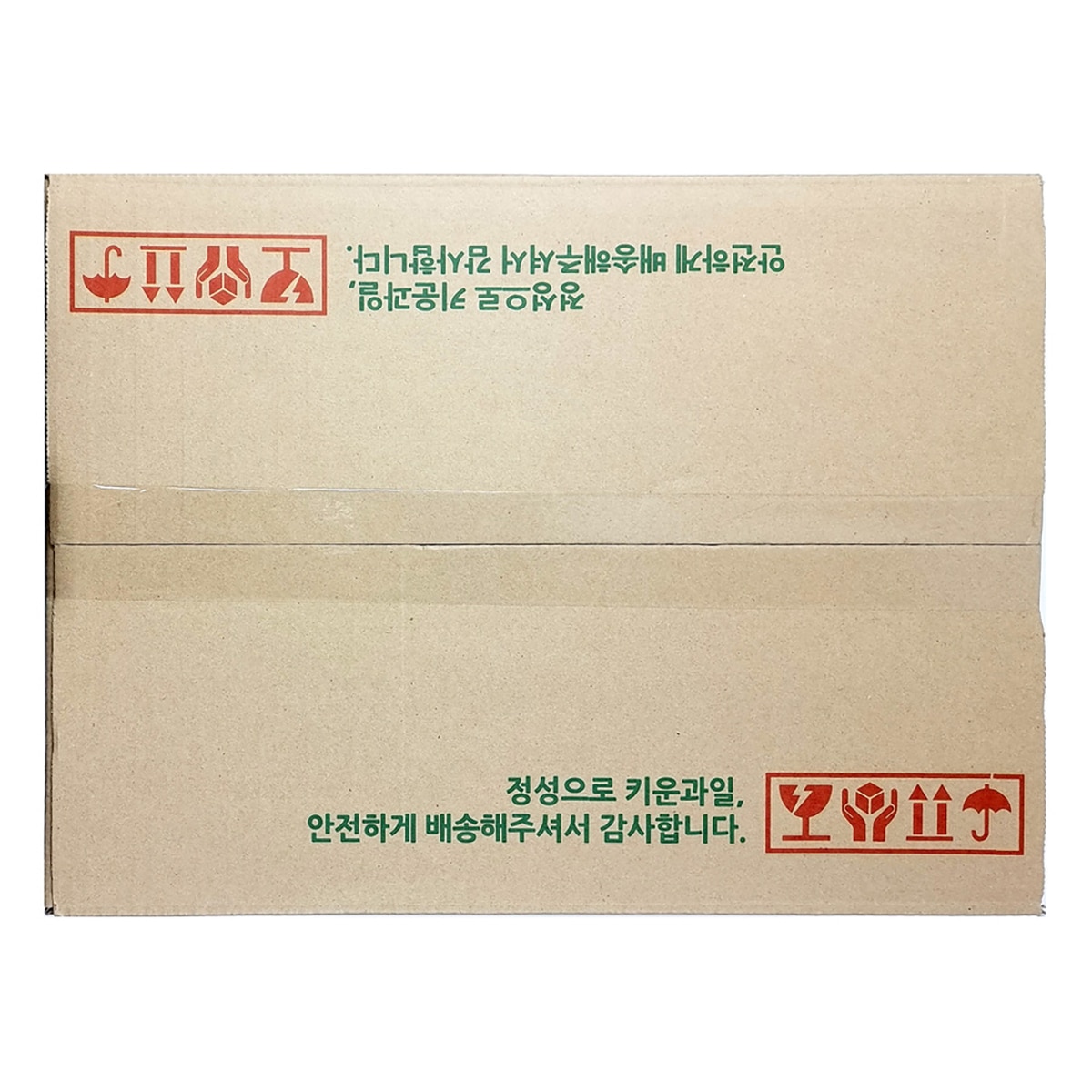 대추토마토 5kg