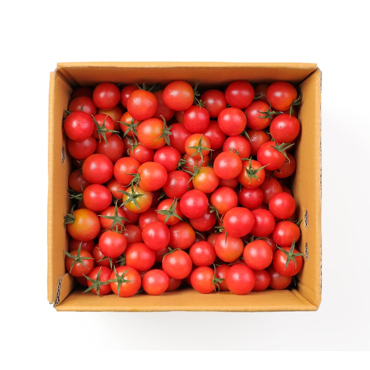 Silky Pink Tomatoes 4kg 679664